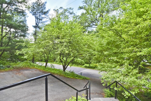 207 Shepard Ave, Delaware Water Gap, PA 18327 - view of yard