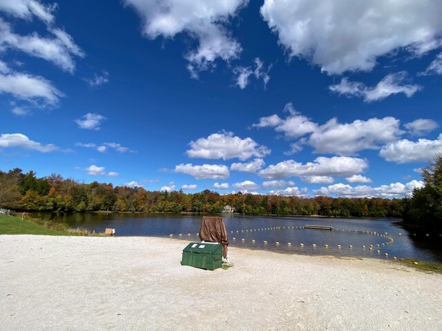 property view of water featuring a view of trees