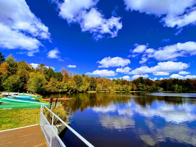 dock area with a water view and a view of trees