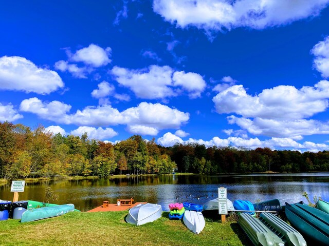 water view featuring a forest view