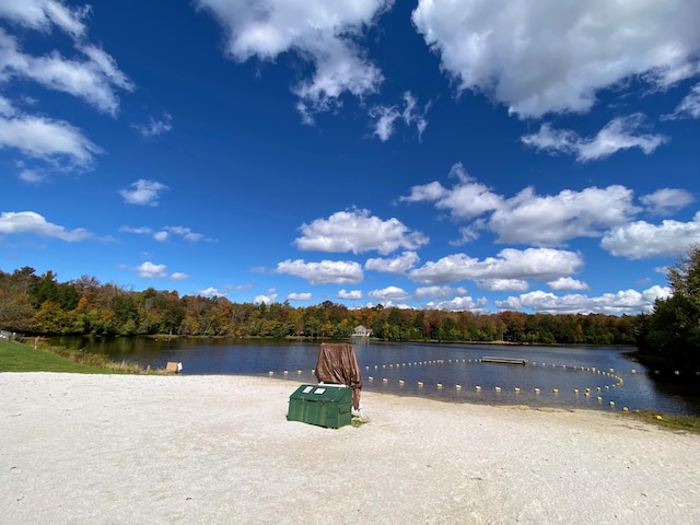 water view featuring a view of trees