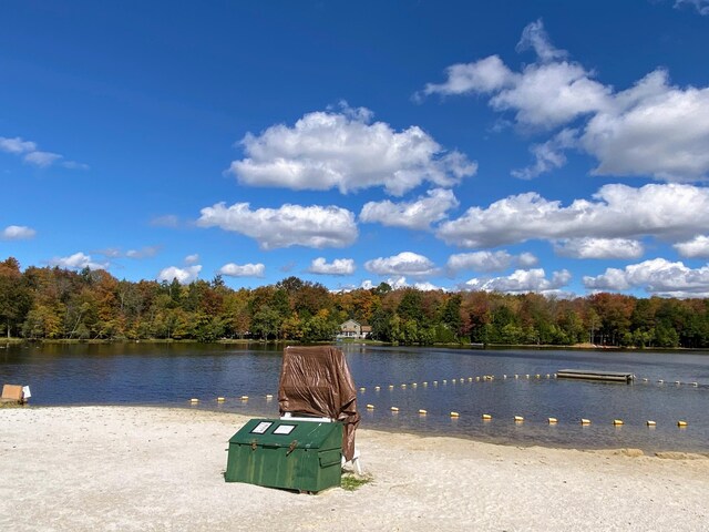 view of water feature featuring a wooded view