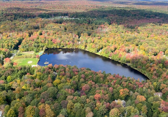 bird's eye view with a water view and a view of trees