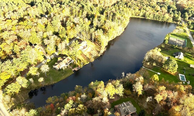 drone / aerial view with a water view and a wooded view