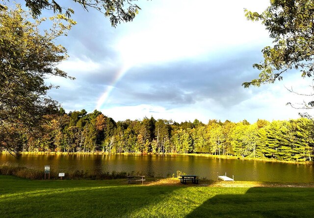 water view featuring a view of trees