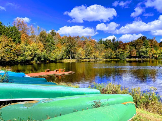 dock area featuring a water view and a view of trees