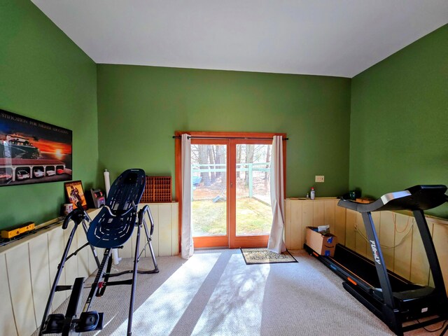 workout room with a wainscoted wall and carpet