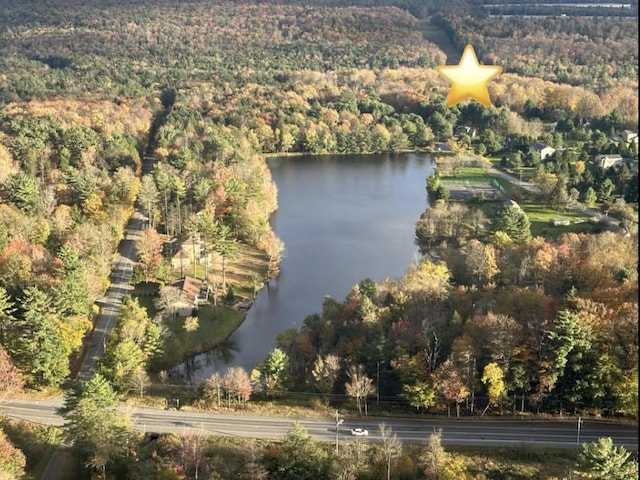 drone / aerial view featuring a water view and a forest view