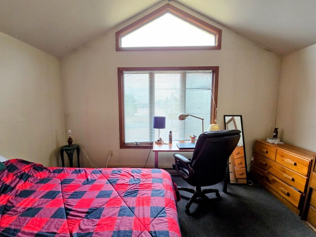 carpeted bedroom featuring lofted ceiling and multiple windows