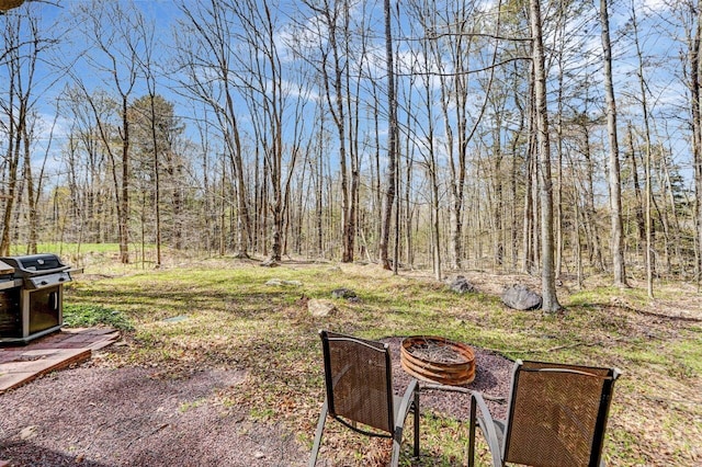 1542 Crestview Ln, Pocono Pines, PA 18350 - view of yard with a fire pit and a wooded view