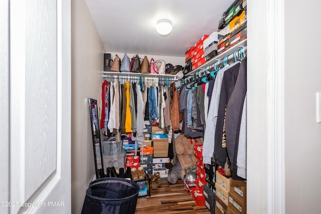 spacious closet with hardwood / wood-style floors