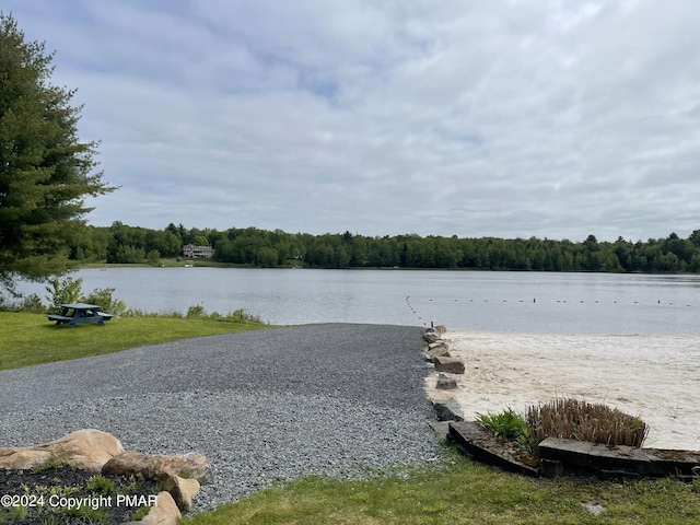 property view of water featuring a wooded view