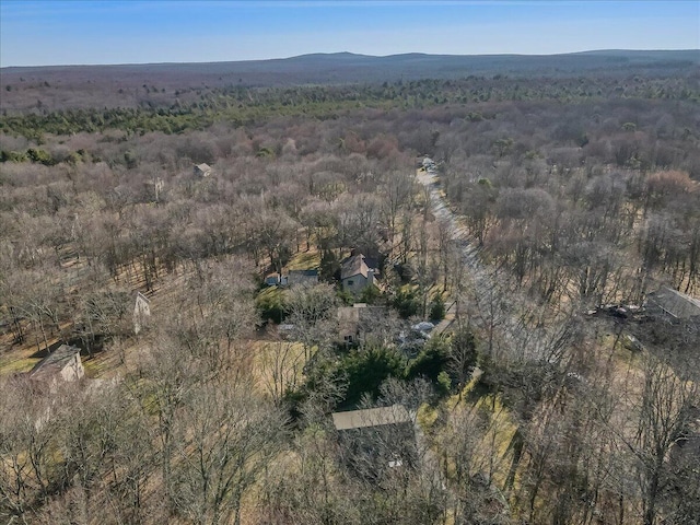 24 Van Doren Mews, Albrightsville, PA 18210 - photo 66
