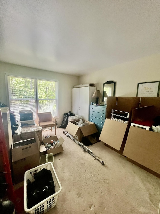 512 Bombur Ln, Tamiment, PA 18371 - bedroom featuring carpet flooring