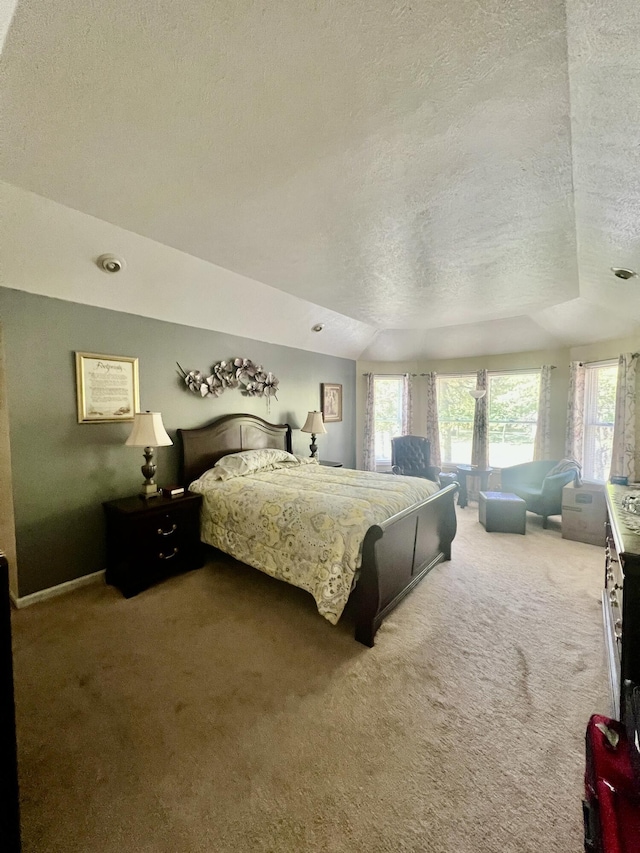 512 Bombur Ln, Tamiment, PA 18371 - bedroom featuring a textured ceiling and carpet flooring