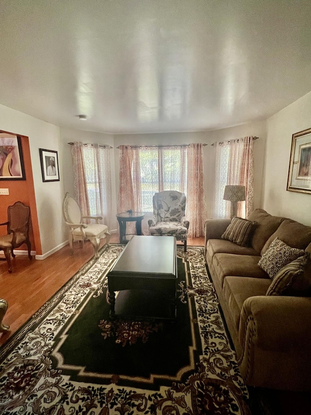 512 Bombur Ln, Tamiment, PA 18371 - living area with wood finished floors and baseboards