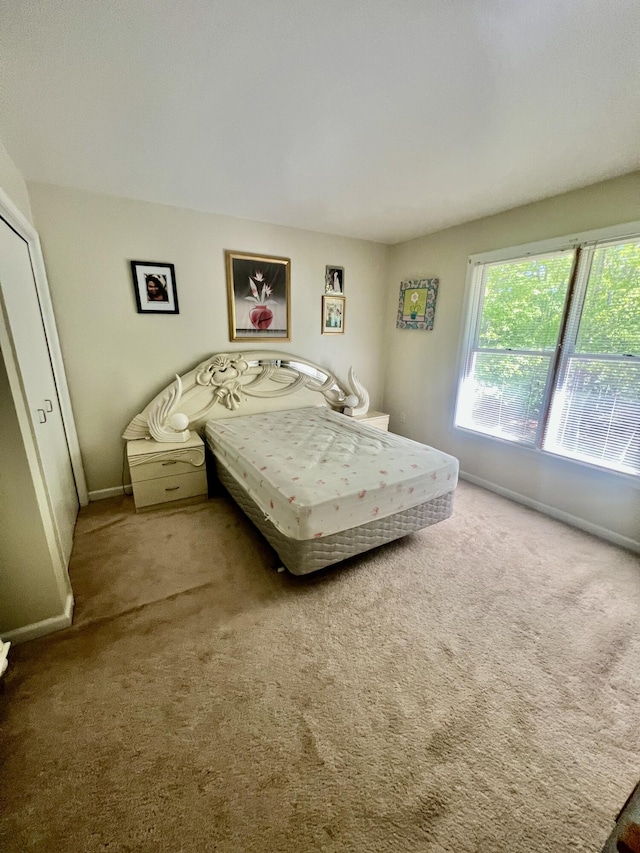 512 Bombur Ln, Tamiment, PA 18371 - bedroom with carpet and baseboards