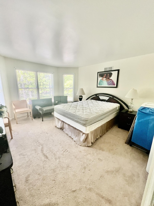 512 Bombur Ln, Tamiment, PA 18371 - bedroom with carpet flooring