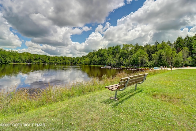103 Malory Ct, Blakeslee, PA 18610 - photo 41