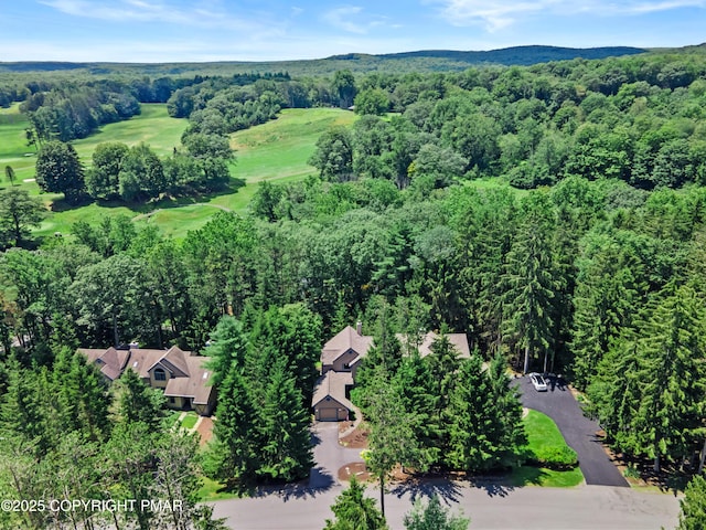 2161 Oak Hill Dr, Buck Hill Falls, PA 18323 - photo 39