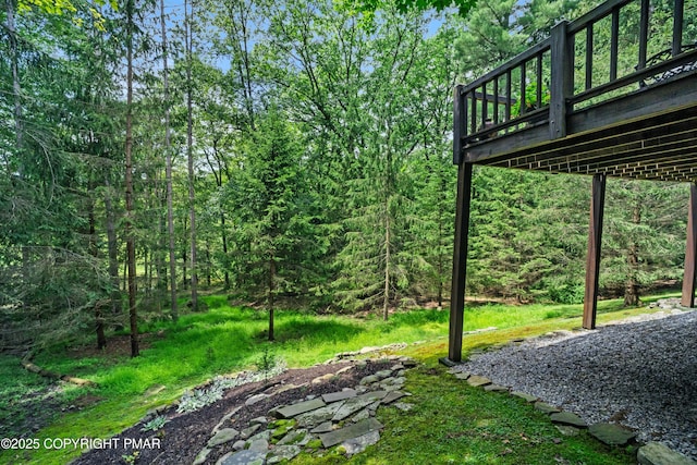 2161 Oak Hill Dr, Buck Hill Falls, PA 18323 - photo 37