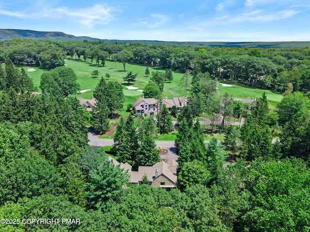 2161 Oak Hill Dr, Buck Hill Falls, PA 18323 - photo 36