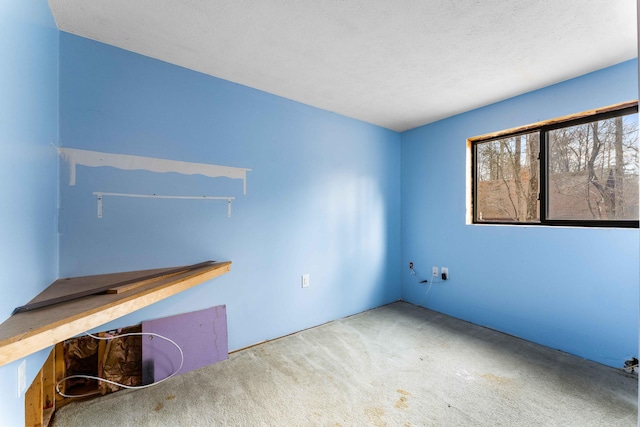 unfurnished office with a textured ceiling and carpet flooring