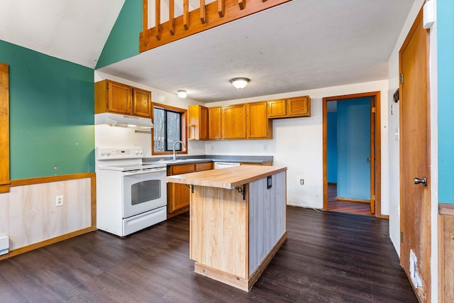 kitchen featuring butcher block countertops, dark wood finished floors, white range with electric stovetop, and under cabinet range hood