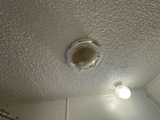 detailed view of a textured ceiling