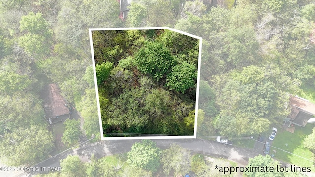 1921 Horseshoe Bnd, Tobyhanna, PA 18466 - photo 3