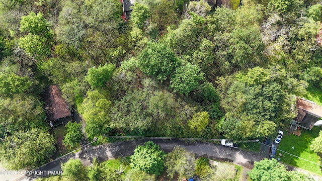 1921 Horseshoe Bnd, Tobyhanna, PA 18466 - photo 4