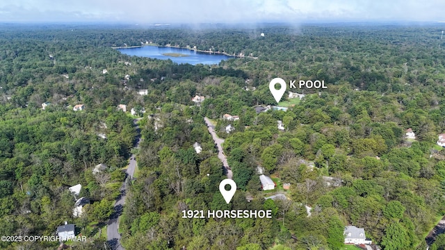 1921 Horseshoe Bnd, Tobyhanna, PA 18466 - photo 1