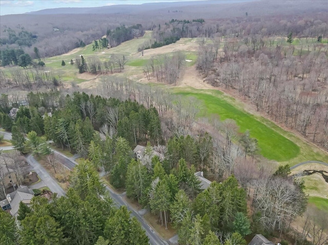 2181 Oak Hill Dr, Buck Hill Falls, PA 18323 - birds eye view of property featuring a forest view