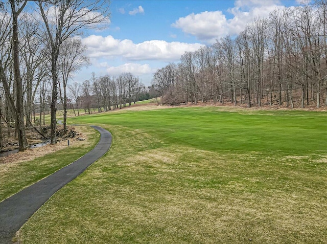 2181 Oak Hill Dr, Buck Hill Falls, PA 18323 - view of property's community featuring a yard