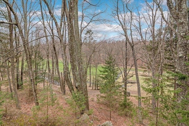 2181 Oak Hill Dr, Buck Hill Falls, PA 18323 - view of local wilderness