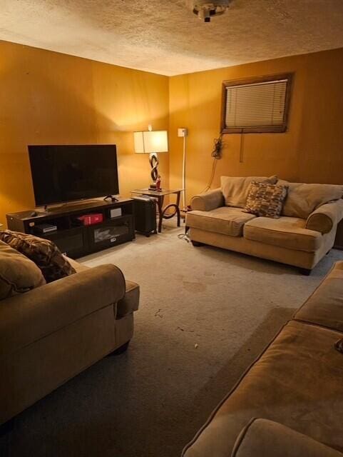 8192 Elk Ct, Tobyhanna, PA 18466 - living room featuring a textured ceiling and light colored carpet