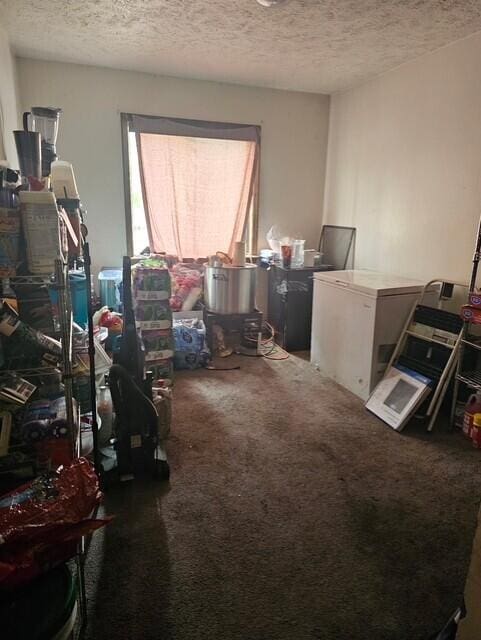 8192 Elk Ct, Tobyhanna, PA 18466 - interior space featuring carpet flooring and a textured ceiling