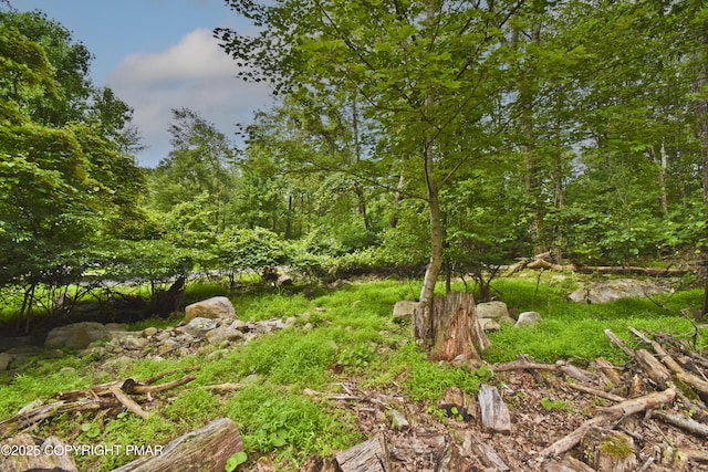 8726 E Nottingham Dr, Kunkletown, PA 18058 - photo 21
