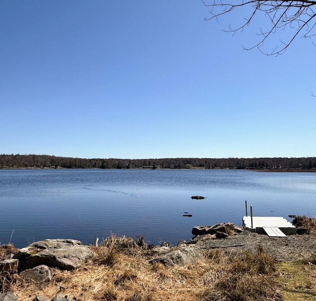 property view of water