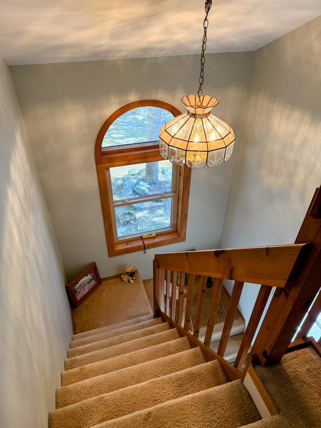 stairs featuring carpet and plenty of natural light
