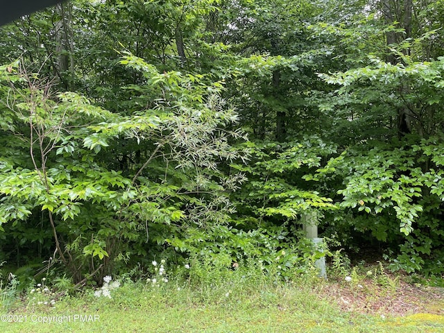 LOT33 Scenic Dr, Blakeslee, PA 18610 - photo 2