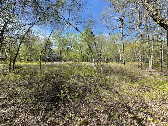 Forest Hill Dr, Blakeslee, PA 18610 - photo 4