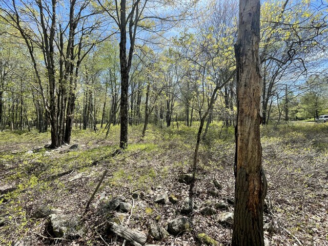 Forest Hill Dr, Blakeslee, PA 18610 - photo 6