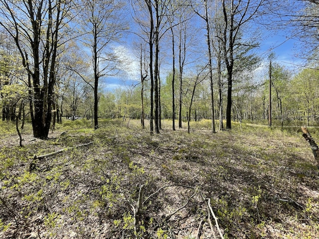Forest Hill Dr, Blakeslee, PA 18610 - photo 3