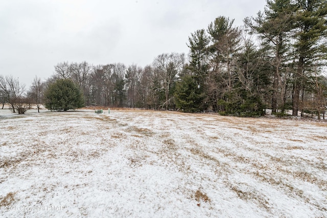 view of yard with a wooded view