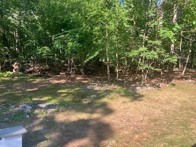 3354 Trafalgar Ave, East Stroudsburg, PA 18302 - view of yard