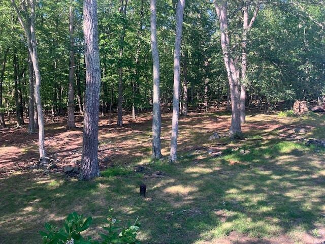 3354 Trafalgar Ave, East Stroudsburg, PA 18302 - view of undeveloped land