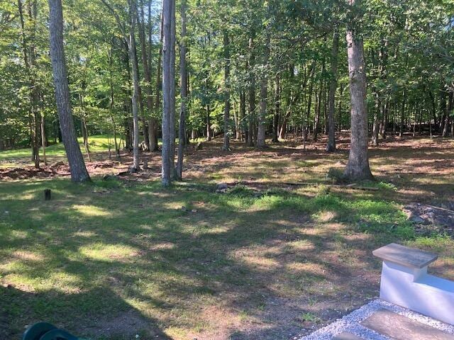 3354 Trafalgar Ave, East Stroudsburg, PA 18302 - view of green lawn