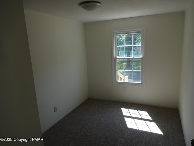 spare room with carpet flooring