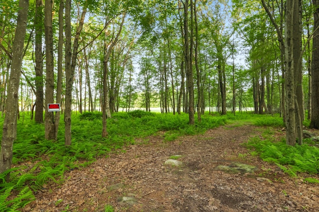 149 Deer Path Ln, Pocono Summit, PA 18346